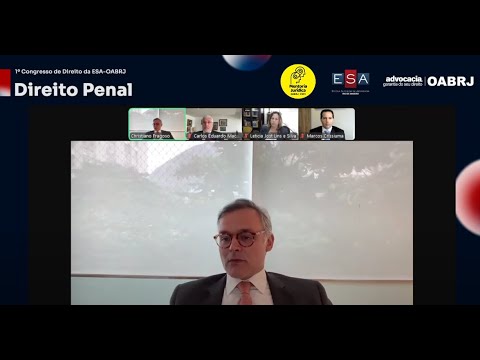Panel 2 – New Perspectives on Criminal Law in Light of Current STF Case Law