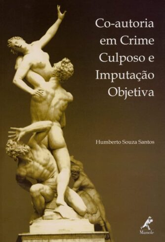 Co autoria em crime culposo e imputação objetiva